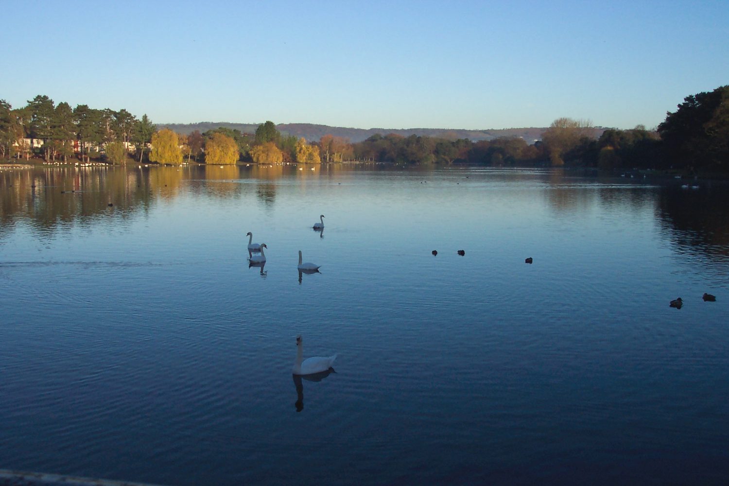Roath Park Lake